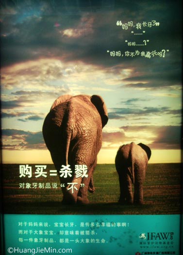 公益广告:妈妈,我长牙了